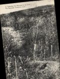 CPA La tranchee des baionnettes en 1919 Militaria