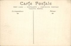 CPA Carcassonne La Porte de Narbonne