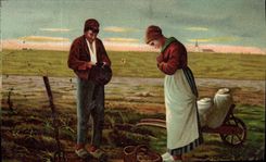 VINTAGE POSTCARD Angelus Millet