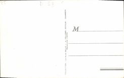 CPA Route Du Col De L'Iseran La Maison Forestiere et les glaciers de la Galise 