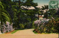 VINTAGE POSTCARD Cannes an Alley Flowered In California