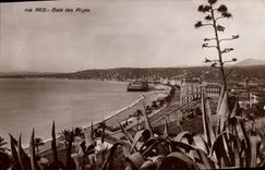 Bahía de la POSTAL de la VENDIMIA Niza de los ángeles