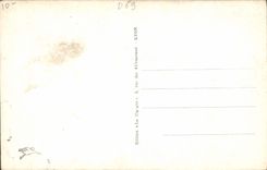 VINTAGE POSTCARD Lyon the Park And the War memorial