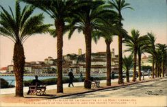 CPA Cannes Les Palmiers De la Croisette et le Mont Chevalier 