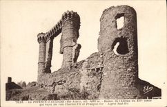 VINTAGE POSTCARD the Bracket Of Lively Ruins Of the Castle