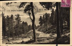 VINTAGE POSTCARD Romeu Bridge the Road De I' Ermitage