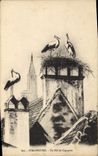 VINTAGE POSTCARD Strasbourg a Nest Of Storks