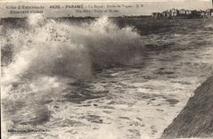 CPA Parame La Digue Etude De Vague