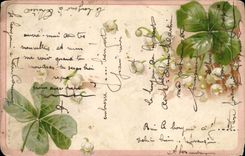 VINTAGE POSTCARD Fantasy Clover