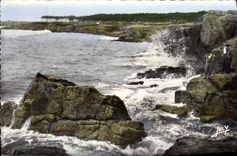 CPM Les Sables D'Olonne La Cote Sauvage Au fond Camping de la pironiere