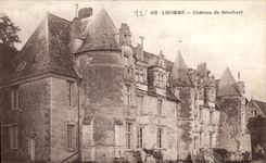 VINTAGE POSTCARD Lhomme Castle De Benehart