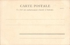 POSTAL Pau de la VENDIMIA el castillo