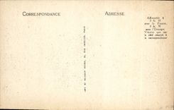 VINTAGE POSTCARD Langeais the Castle Seen from In the Park