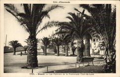CPA Dinard Les Palmiers De La Promenade Clair De Lune