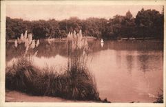 CPA Bordeaux Le Lac Du Parc Bordelais