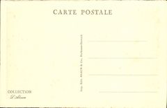 Camino de la POSTAL de la VENDIMIA de Schlucht el túnel