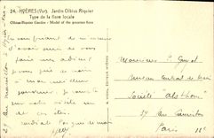 VINTAGE POSTCARD Hyeres Garden Standard Olbius Riquier of the local flora