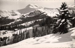 MODERN CARD the Mount of Alpine laburnum the Jolly Mount tracks of the Cross and Communailles