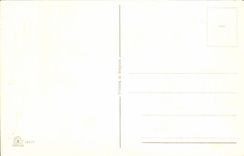 CPA Fantaisie Bonne Annee