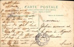 VINTAGE POSTCARD Paris greenhouses of the town of Paris