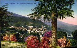 VINTAGE POSTCARD Fatty View