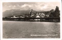 VINTAGE POSTCARD Evian les Bains Panorama of the Lake Leman