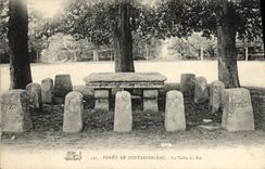 VINTAGE POSTCARD Drill De Fontainebleau the table of the king