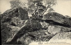 VINTAGE POSTCARD Foret De Fontainebleau Rendez of become engaged Rocher of the Young ladies