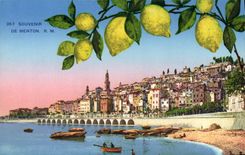 VINTAGE POSTCARD To remember Of Menton Lemons