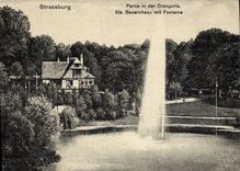 POSTAL Strassburg de la VENDIMIA dejado en naranjal de DER