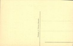 Columna de Bruselas de la POSTAL de la VENDIMIA de la tumba de Corgres de un león belga del soldado desconocido