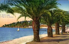 CPA Golfe Juan La Plage Et Les Palmiers