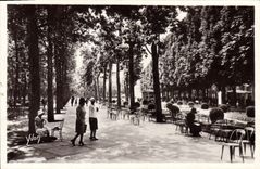 CPA Vichy Une Allee Du Parc Des Sources