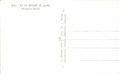 CPA Ile De Brehat Margelle Fleurie