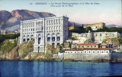 CPA Monaco Le Musee Oceanographique et La Tete De Chien