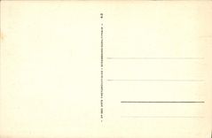 CPA Vichy Le Casino Et Les Jardins