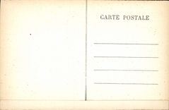 CPA Grotte du Grand Roc a Laugerie Basse Une veritable et surprenante vegetation