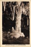 CPA Grotte du Grand Roc a Laugerie Basse Le pied de mammouth