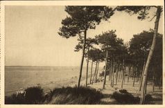 CPA Arcachon Moulleau Le Parc Des Abatilles