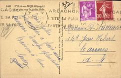 VINTAGE POSTCARD Pyla On Sea Pines Towards the Large Dune