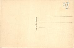 VINTAGE POSTCARD Dinard the Walk of the Moonlight