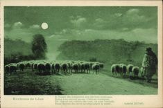 CPA Environs de Leon Berger et moutons