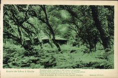 VINTAGE POSTCARD Route of Leon has Vielle