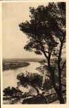 POSTAL Avignon de la VENDIMIA el Rhone visto de la roca de los Dom