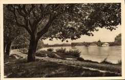 POSTAL Avignon de la VENDIMIA el Rhone y el puente santo Benezet