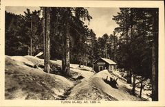 VINTAGE POSTCARD Turini
