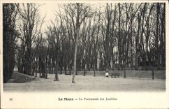 CPA Le Mans La Promenade des Jacobins