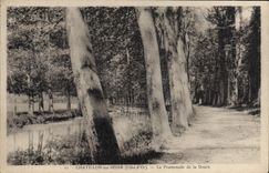 VINTAGE POSTCARD Chatillon on the Seine the Walk of Douix
