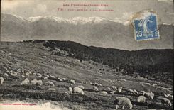 CPA Font Romeu Les Paturages