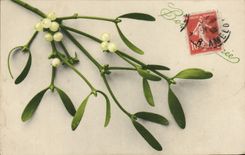 VINTAGE POSTCARD Happy New Year GUI